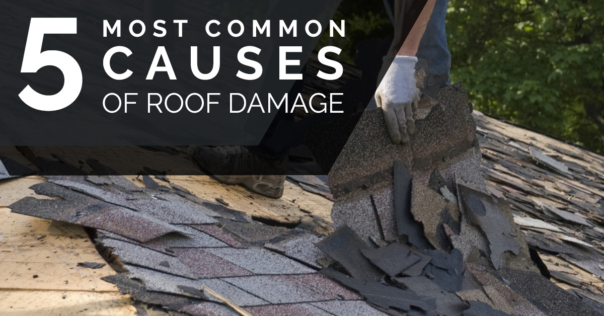 Five-Most-Common-Causes-Of-Roof-Damage